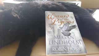A sulky black feline reposes with a book leaned against him.  It is Wizard of the Pigeons, by Megan Lindholm, with new cover art by Jackie Morris.  UK edition from Harper Voyager publishing.